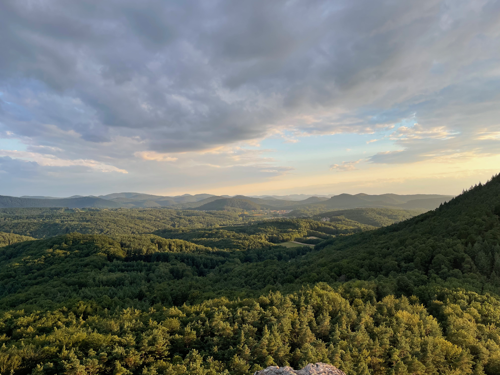 On the Boarder On the Boarder