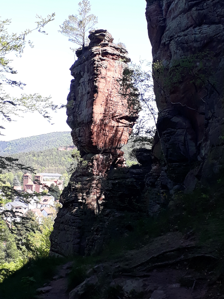 Programmtour zum Burghalder auf Sonntag verlegt