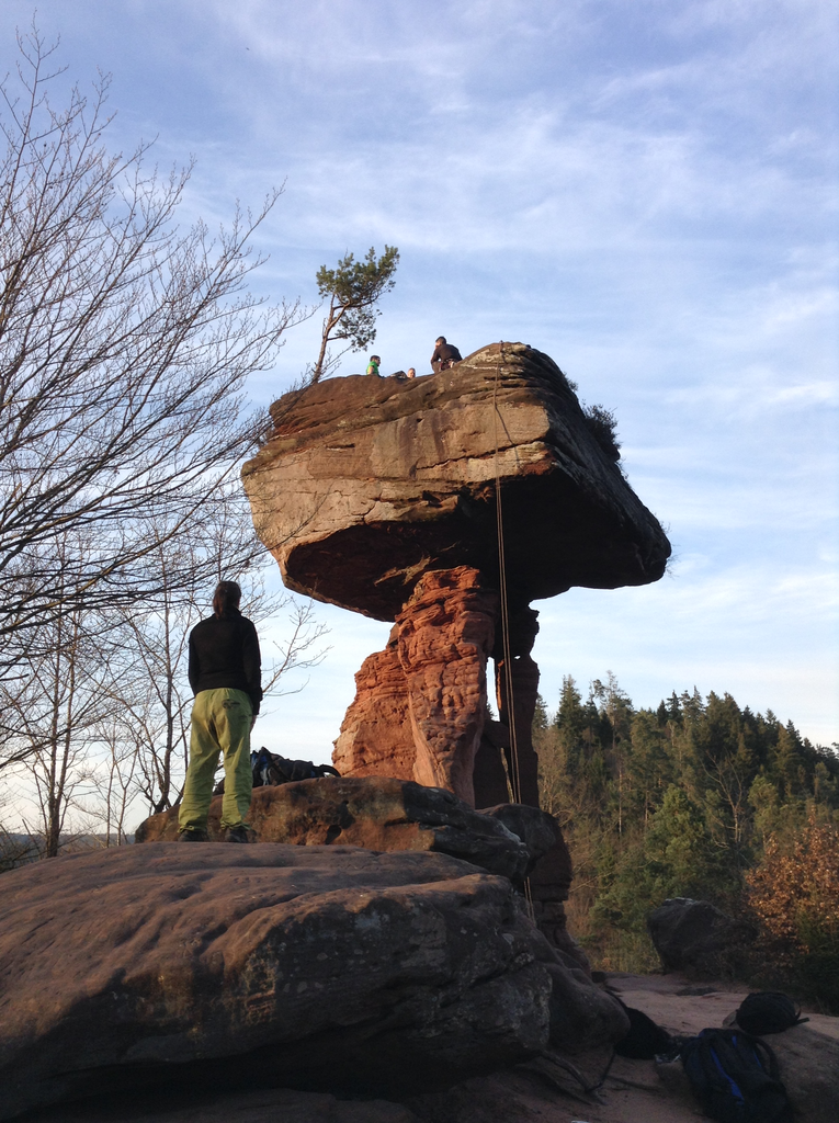 Von wegen Sommerloch...