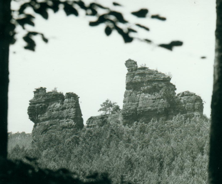 Programmtour Reinigshof 